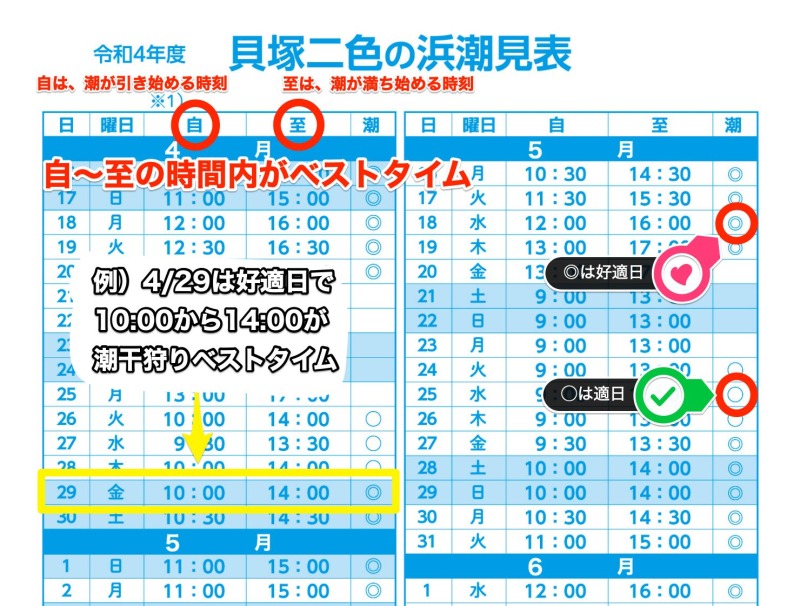 二色の浜潮干狩り潮見表